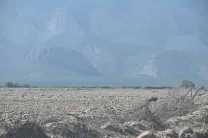 Próximo Ciclo Agrícola está en riesgo por niveles en presas ante la falta de lluvias. (EL SIGLO DE TORREÓN)