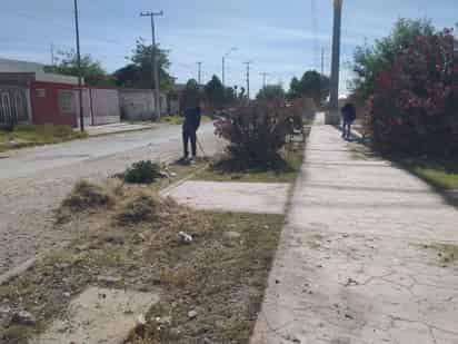 Labores de limpieza en el camellón central del bulevar Girasoles de la colonia Solidaridad. (DIANA GONZÁLEZ)