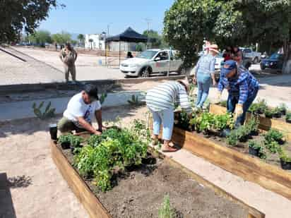 Huerto comunitario. (FABIOLA P. CANEDO)