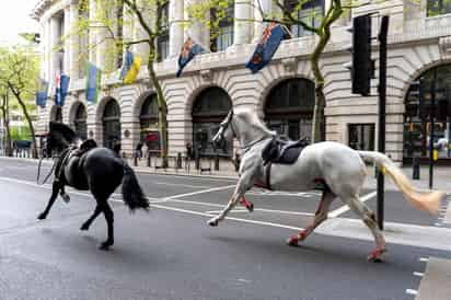 Varios caballos del Ejército británico se dieron este miércoles a la fuga. (AP)