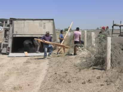 Actos de rapiña en tráiler volcado. (EL SIGLO DE TORREÓN)