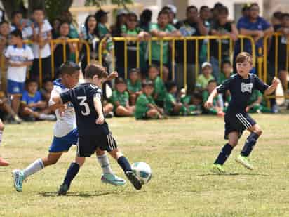 Hoy se disputan las finales de la Copa Santos Peñoles, y posteriormente se premiará a las categorías campeonas de la edición XII. (Ramón Sotomayor)