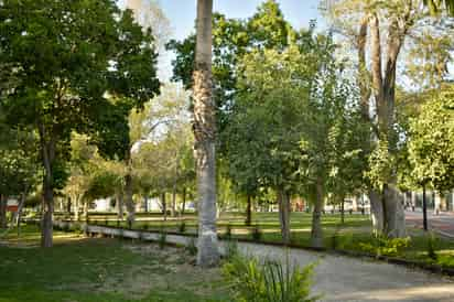 Se proyecta la creación de tres pulmones o áreas verdes en el suroriente, oriente y norte de la ciudad.