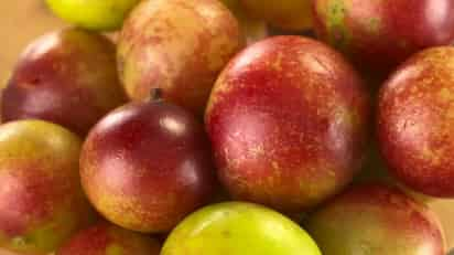 Fruto camu camu ayuda a prevenir enfermedades degenerativas