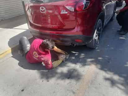 Coordinación de Protección Civil y Bomberos de Ciudad Lerdo intervino para recatar a un gato atrapado. (DIANA GONZÁLEZ)