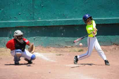 Serán reconocidos los peloteritos que mejor papel han realizado a lo largo de las primeras jornadas en la temporada de regreso (ARCHIVO)