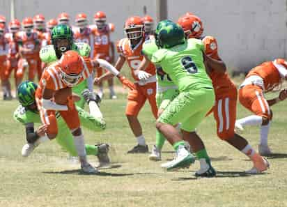 Los felinos del Campestre Torreón, marchan líderes en la Jr. Bantam, son terceros en Peewee y segundos en la categoría Midget