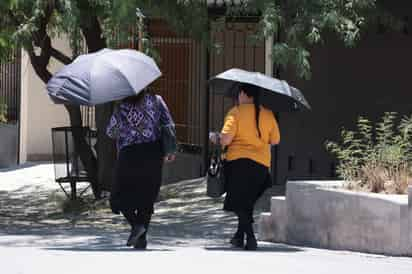 2024 ya es el año más caluroso para La Laguna