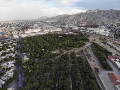 Los árboles permiten regular las temperaturas de manera natural y son, además, refugios para muchas especies. (EL SIGLO DE TORREÓN)