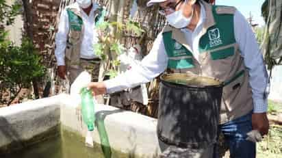 Autoridades de salud iniciarán con campañas de descacharrización. (ISABEL AMPUDIA)