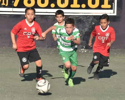 En dos categorías, se enfrentaron en la gran final el Club Deportivo Torreón y Tigers. (Fotos de Ramón Sotomayor)