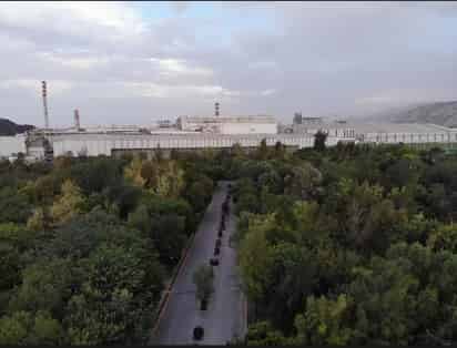 ¿Para qué sirve reforestar?
