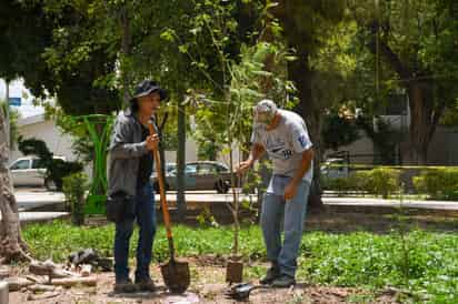 Campaña de reforestación masiva. (DIANA GONZÁLEZ) 