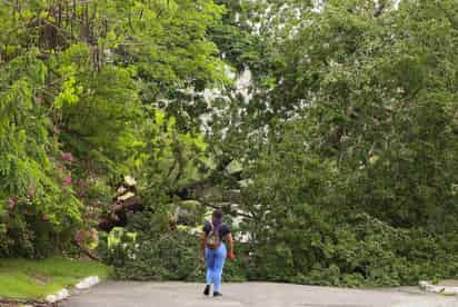 Así quedó Jamaica tras el paso del Huracán Beryl | FOTOS