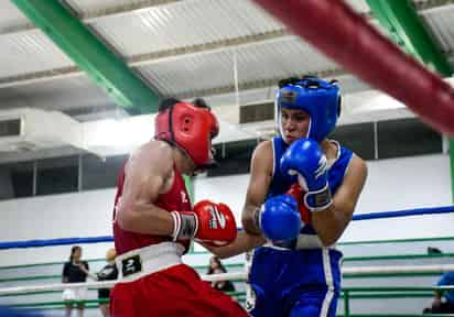 Evento de boxeo 'Tierra de Campeones' (CORTESÍA) 