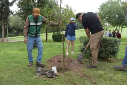 Reforestan con 80 árboles el Bosque Urbano de Torreón