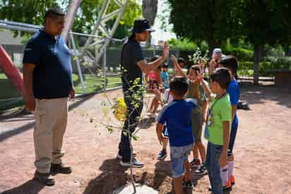 Curso de Verano de la Unidad Deportiva Francisco Sarabia. 