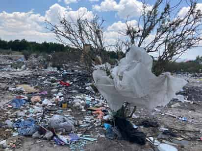 También en Rosita. Pobladores de los ejidos Rosita, Concordia y Urquizo, los cuales están uno al lado del otro, también depositan la basura en un predio que está al lado de la carretera Torreón- San Pedro, incluso abarca una buena superficie.