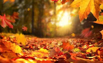 Equinoccio Otoño 2024.