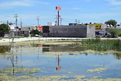 Terreno donde construyen tienda en Campo Nuevo Zaragoza es particular, asegura Urbanismo