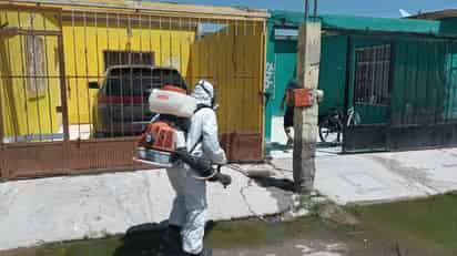 Fumigación contra dengue en Torreón.