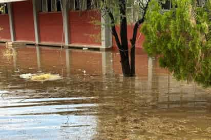 Acumulación de agua. (MARY VÁZQUEZ)