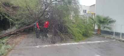 Lluvias en Lerdo.