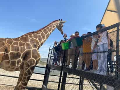 El recorrido llegará al zoológico de Villa Juárez.