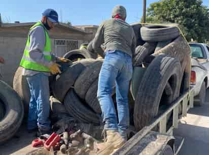 Preparan campaña de descacharrización en Nazareno, como parte de las acciones contra el dengue. (EL SIGLO DE TORREÓN)