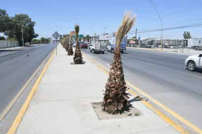 Carretera Torreón-Saltillo (ARCHIVO)