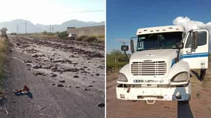 Tractocamión de la marca Freightliner, de color blanco con franjas azules. (EL SIGLO DE TORREÓN)