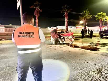 Ebrio conductor destroza su camioneta al chocar contra palma