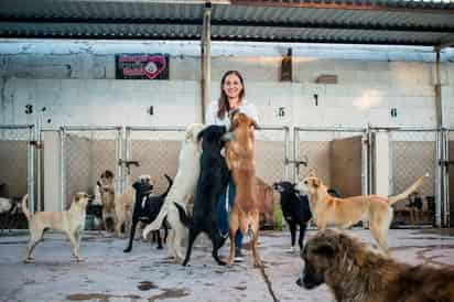 Albergue Corazón Canino de Torreón (EL SIGLO DE TORREÓN)