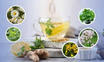 5 infusiones para reducir el estrés y sentirte mejor