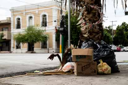 Torreón se merece un buen proyecto para la separación de residuos: secretaría de Medio Ambiente de Coahuila