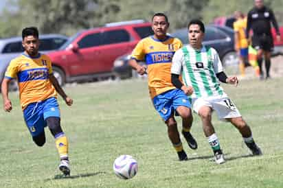 Los campos Laguna Sport al norte de Torreón, albergará la mayoría de
los choques tanto en la categoría  Máster como en Veteranos. (Archivo)