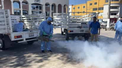 Campaña contra el dengue. (SERGIO A. RODRÍGUEZ)