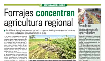 Forrajes concentran agricultura regional