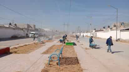 Realizan limpieza y poda en el camellón central de la colonia Miravalle en Gómez Palacio