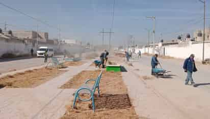 Los trabajos en el camellón central incluyeron poda correctiva. (EL SIGLO DE TORREÓN)