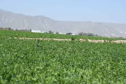 Esteban Villegas ve panorama complejo para el campo duranguense en 2025