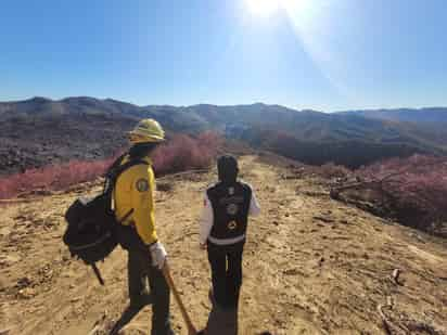 Mexicanos apoyan en combate a incendios de California