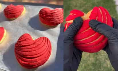 Conchas de San Valentín en La Laguna. 