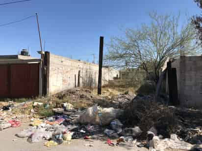 Servicios públicos tiene detectados alrededor de 300 terrenos en distintos puntos de la ciudad. (EL SIGLO DE TORREÓN)