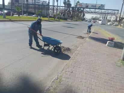 Realizan limpieza en puentes vehiculares sobre el lecho seco del Nazas