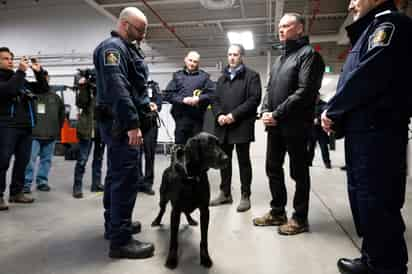 Canadá declara como terroristas a cárteles mexicanos de la droga