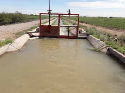 Se preparan los campesinos del Distrito de Riego 017 para el miniciclo agrícola de la región lagunera. (EL SIGLO DE TORREÓN)