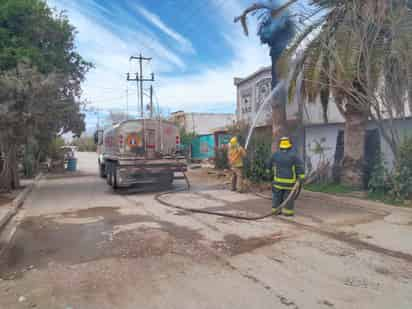 Rachas de viento derriban árboles y afectan energía en Lerdo y Gómez Palacio