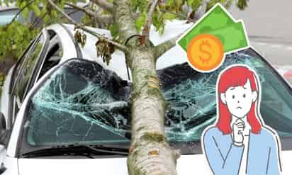 ¿El seguro de auto puede cubrir los daños por la caída de un árbol?