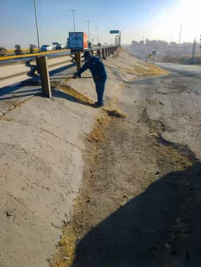 Recientemente, brigadas de su dependencia acudieron al puente Solidaridad, que conecta a Gómez Palacio con Torreón. (EL SIGLO DE TORREÓN)